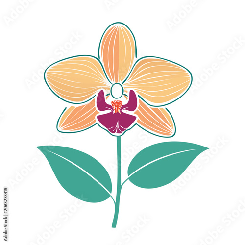 Flat Design Orange Orchid Flower Illustration