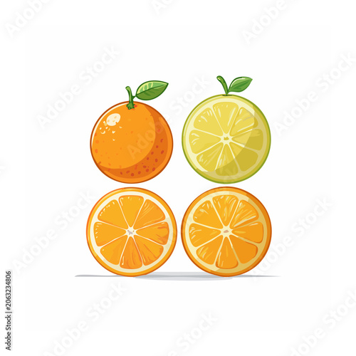 Four citrus fruit slices on transparent background