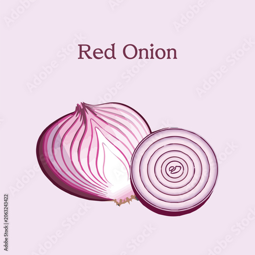 Red onion vector illustration. Red onion slices vector. simple onion clipart