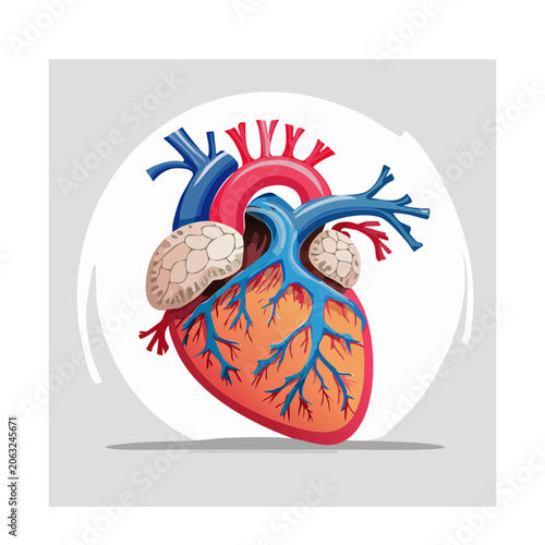 Flat design heart anatomy with brain and ribbon