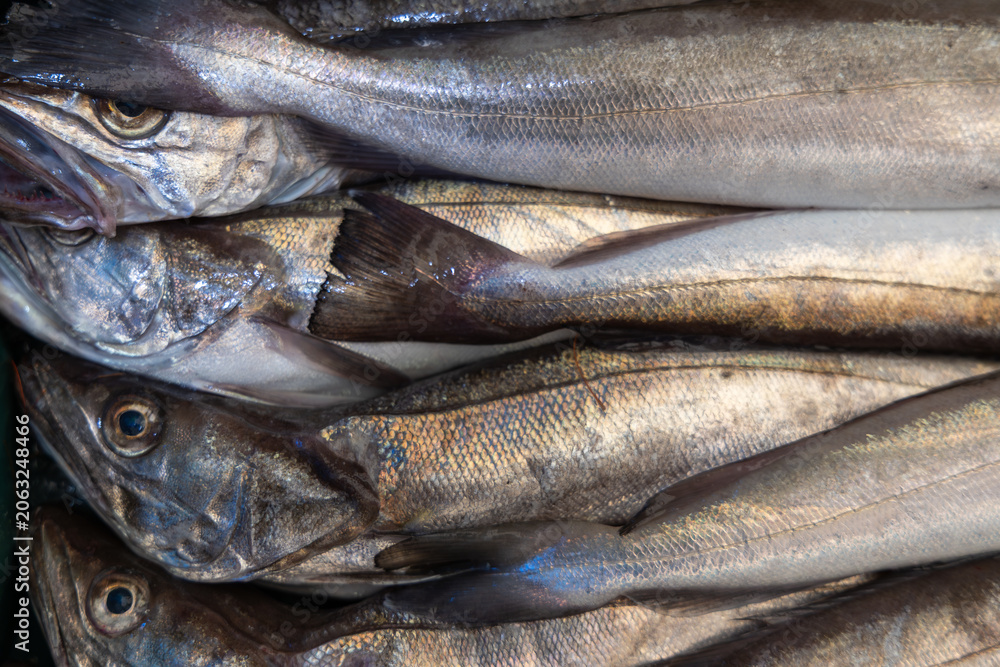 Fototapeta premium Fresh raw silver hake fish stacked neatly on top of each other at a fishmonger shop, healthy cooking ingredients, seafood industry.