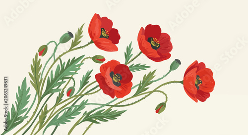 Red Poppies and Buds Illustration on Creamy Background