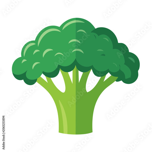 Flat design broccoli illustration isolated