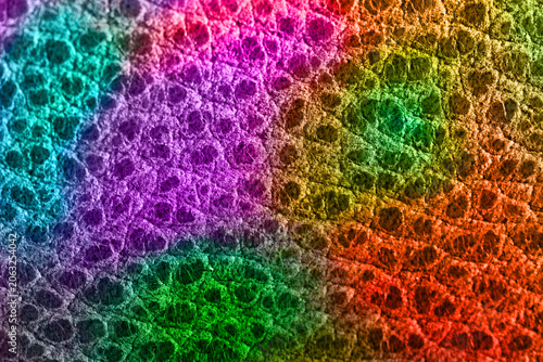 Rainbow Reptile Scale Macro Texture with Iridescent Neon Color Gradient Pattern