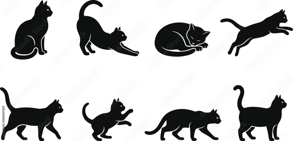Fototapeta premium Set of black cat silhouettes in various positions including sitting stretching sleeping jumping walking playing and standing isolated on white background
