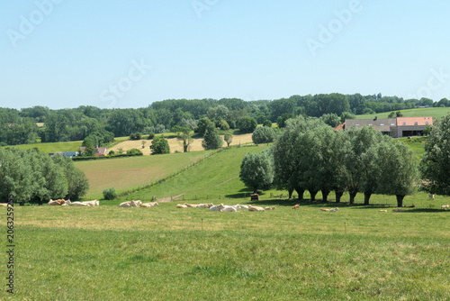 Wanderung in den Vlaamse Ardennen bei Oudenaarde in der Nähe von Gent, Ostflandern. Schöne Wege durch die wundervolle Landschaft. Ein Paradies für Wanderer.