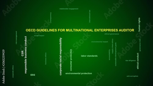 Oecd Guidelines For Multinational Enterprises Auditor Word Cloud