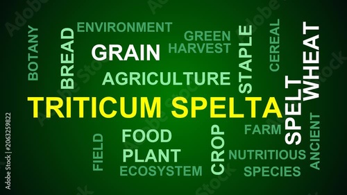 Triticum Spelta Word Cloud