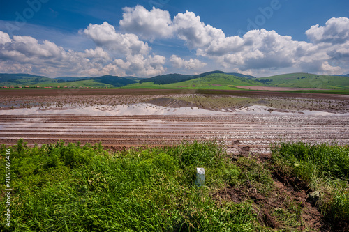 Water in the middle of flooded agriculture crops. Potato Crop Damage.