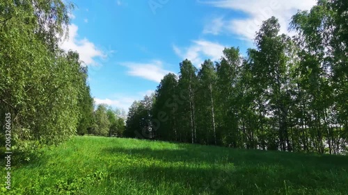 Green Countryside Scene with Vehicles on a Small Road