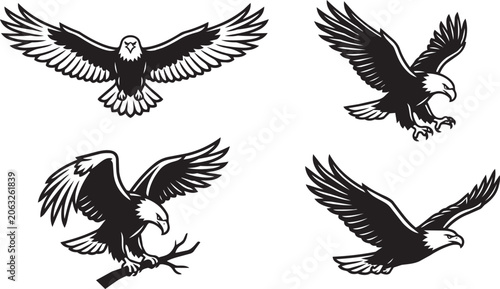 Bild auf Leinwand Bald eagle vector set, majestic flying eagle illustrations, black and white pred