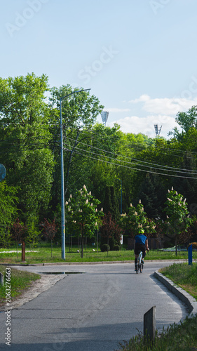 Cyclist riding a bicycle on an asphalt road in a green city park on a sunny day, healthy lifestyle and outdoor sports activity.
