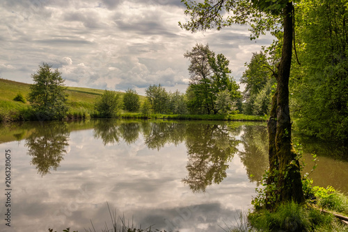 Tranquil woodland scene with still water reflection, Serene wooded landscape with pond and gentle surroundings for relaxation