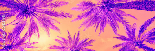Purple palm trees frame a warm peach sunset sky.