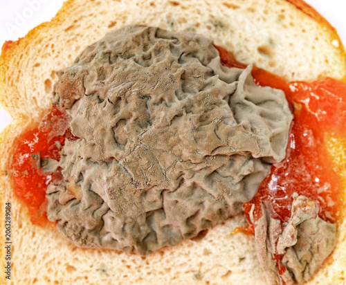 Bizarre food item on bread with jam at a kitchen table during daylight hours