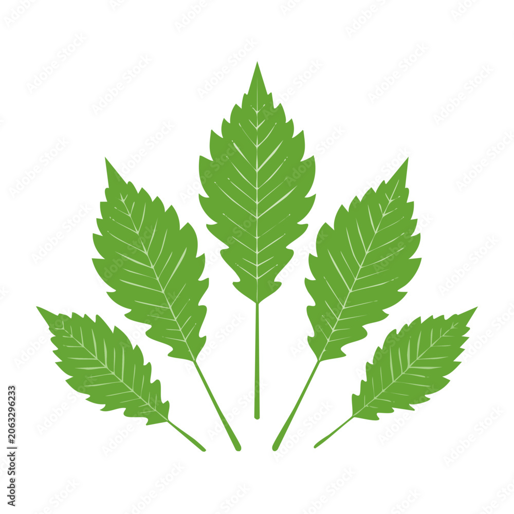 Fototapeta premium Green leaves vector illustration on transparent background