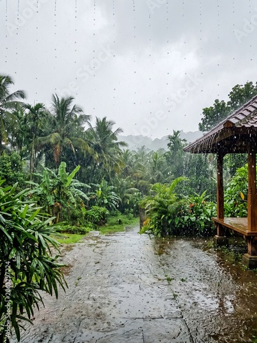 Lush tropical landscape with heavy rain and gazebo in the background  