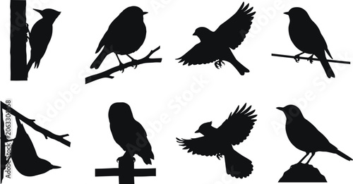 Konstfotografi Wild birds silhouette vector bundle featuring different species in flying, perch