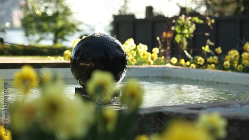 dark, spherical stone fountain spraying water in a sunny garden. The water droplets sparkle in the sunlight, framed by a beautiful patch of blooming yellow daffodils.