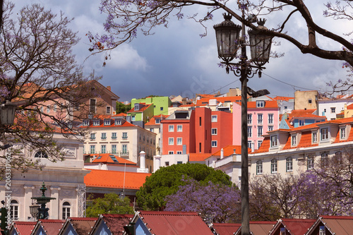 Colorful Residential Buildings and Jacaranda Trees in Lisbon Portugal