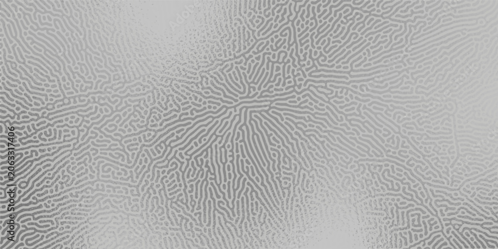 Obraz premium An abstract micro-labyrinth in grey with a silver gradient lighting effect, resembling a reaction-diffusion texture or a fine metal crystal structure.