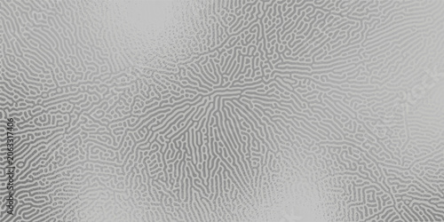 Foto An abstract micro-labyrinth in grey with a silver gradient lighting effect, resembling a reaction-diffusion texture or a fine metal crystal structure