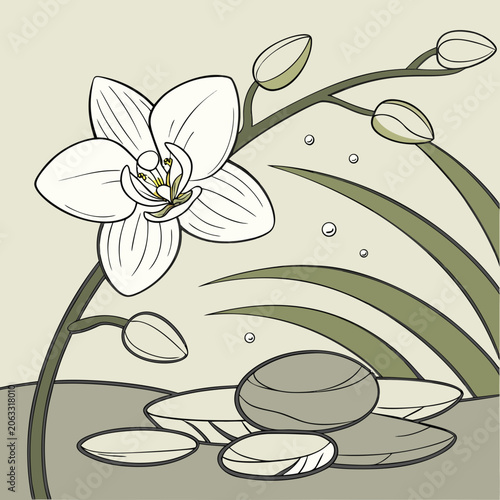 Photography Minimalist orchid flower and zen stone composition with zen like relaxation medi