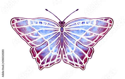 a beautiful watercolor butterfly illustration on a white background
