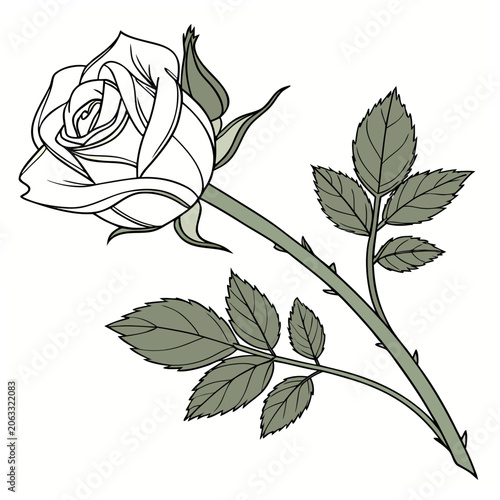 Single elegant rose flower branch with leaves and thorns graphic botanical illustration minimalist decorative