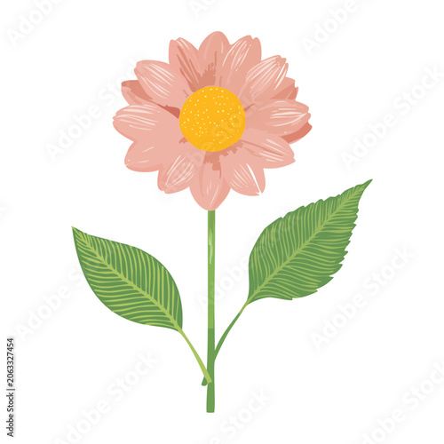 Pink Daisy Flower with Green Leaves Illustration