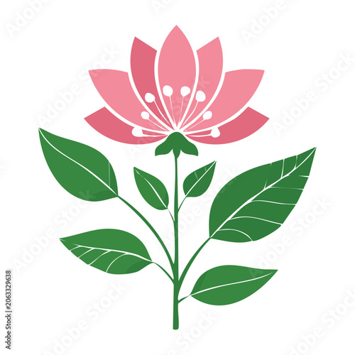Pink flower with green leaves vector illustration