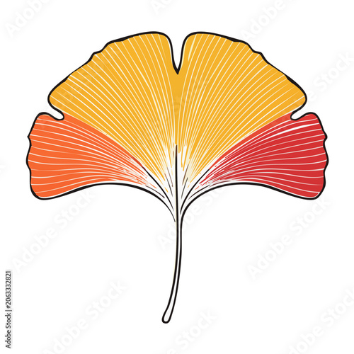 Colorful Ginkgo Leaf Line Art Illustration