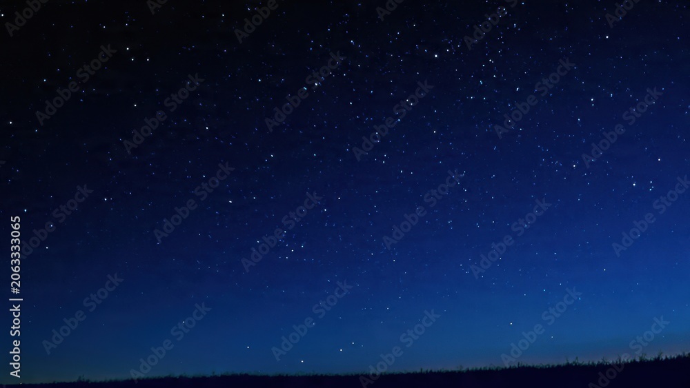 Fototapeta premium Starry Night Sky Over Silhouetted Landscape