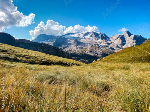Alpine mountain range with glacial peaks over grassy highland