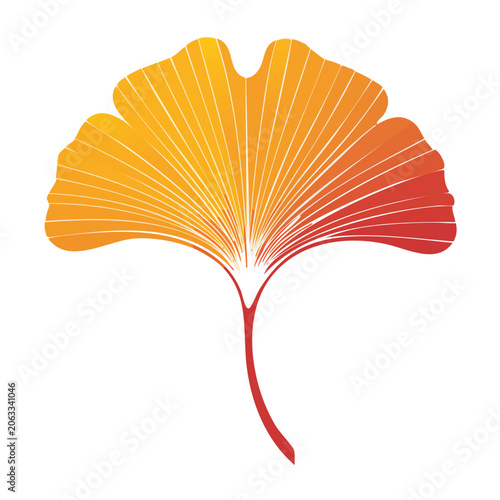 Colorful Ginkgo Leaf Illustration