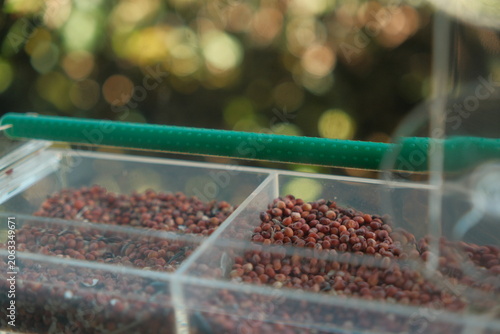 Bird feed in a container outdoors