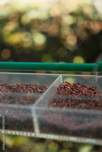 Bird feed in a container outdoors