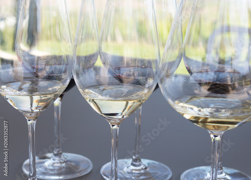 Canada, BC, Okanagan Valley.  Wine glasses prepared for white wine tasting at winery.  The Okanagan Valley is the premier wine growing region in Canada.