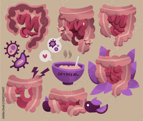 Digestive System and Intestines Vector Illustration Set
