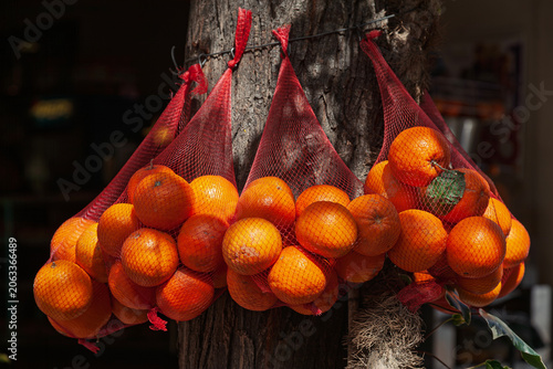 Netz mit Orangen hängen an einem Baumstamm, Soller