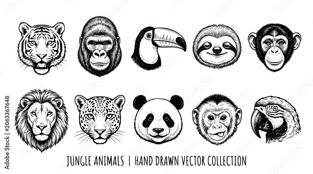 Fototapeta premium Jungle animals hand drawn vector collection