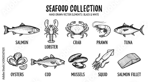 Seafood collection handdrawn vector elements