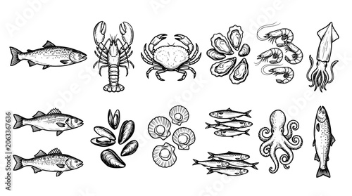 Set of hand drawn seafood