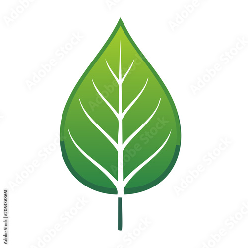 Green Leaf Icon with Veins on Transparent Background