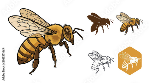 Foto Honey Bee Insect Illustration Set: Realistic, Silhouette, Line Art, Hexagon Icon