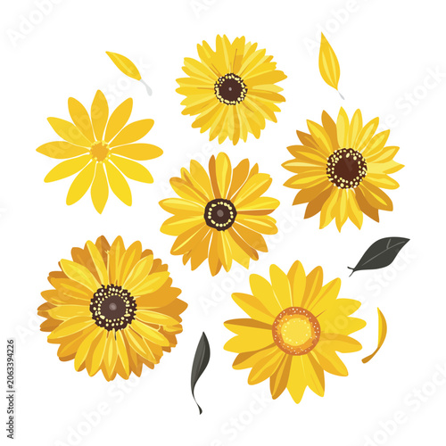 Flat design sunflower cluster vector