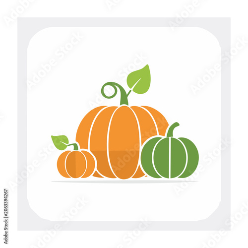 Flat design vector carrot with green leaf