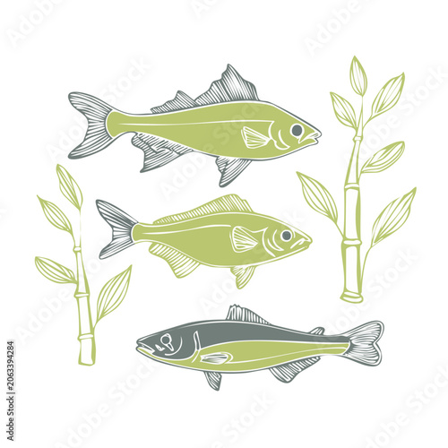 Flat design vector illustration of tropical fish and seaweed