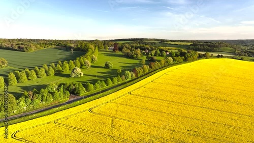Rapeseed Fields and Farms over Horsebridge nad Stockbridge from a drone, Hampshire, England