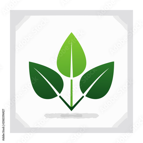 Three green leaves icon on white background